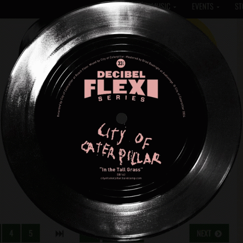 City Of Caterpillar : In the Tall Grass